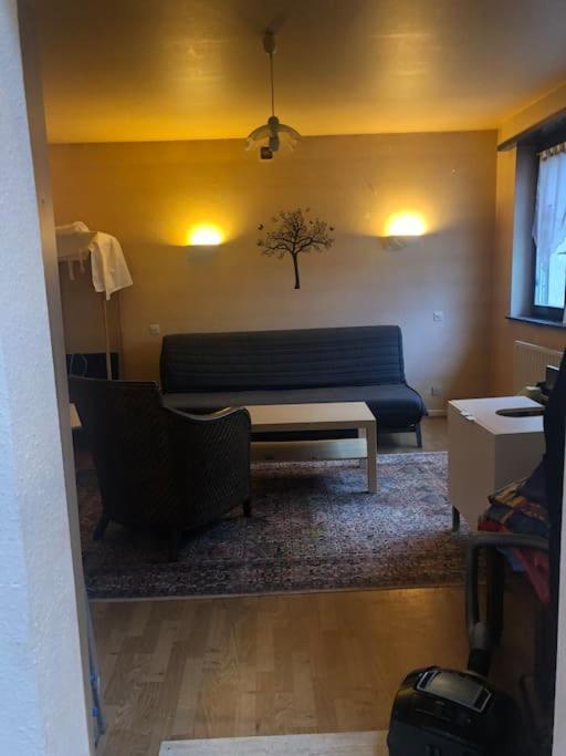 Maison De Village Pres De Colmar De 90 M2 Horbourg Exterior foto